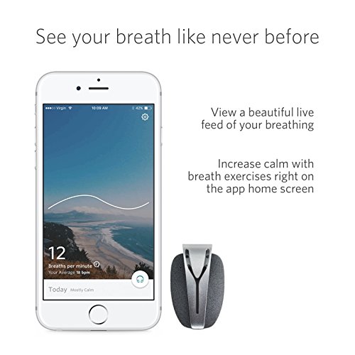 Spire Mindfulness and Activity Tracker App Screen