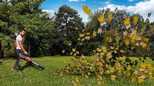 WORX TURBINE Corded Leaf Blower – WG520 in action