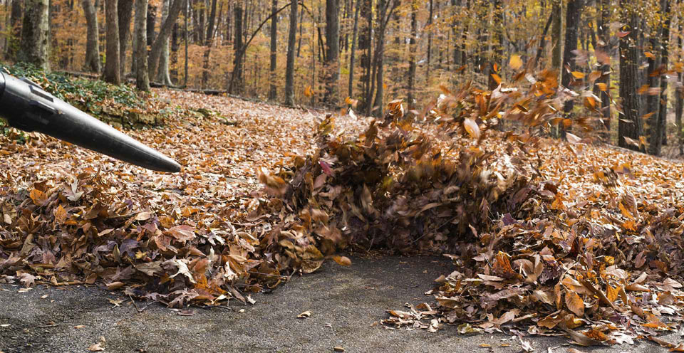 Make clearing leaves easy with these blowers and vacuums
