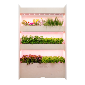 3 tier wall garden