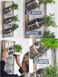 Mason Jar Wall Herb Garden