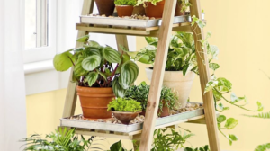 Ladder Planter