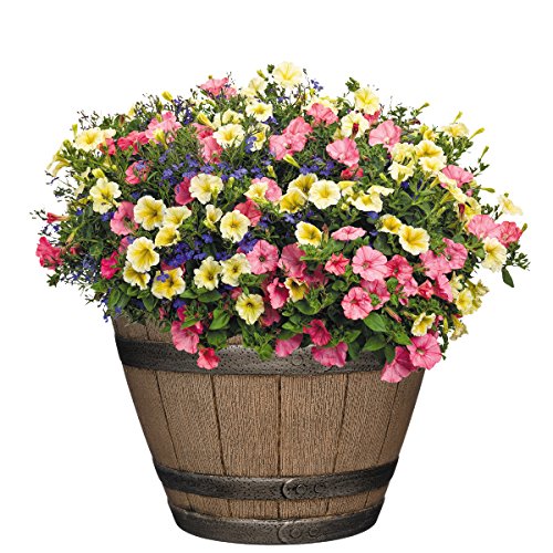 Patio Flower Pots from Amazon