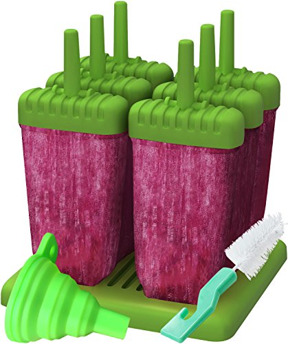 Reusable Popsicle Molds