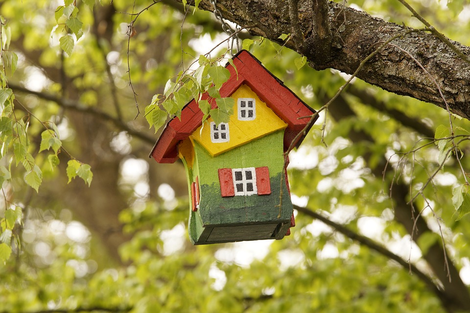 Solar Bird Feeder