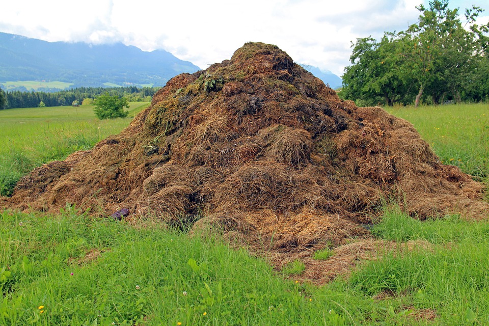 Garden Waste for Composting