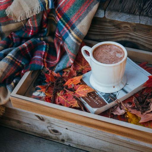 10 Autumn Essentials for Your Home