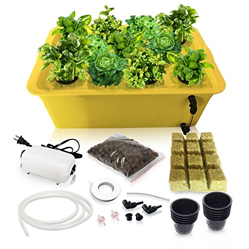 Hydroponics Growing System Kit