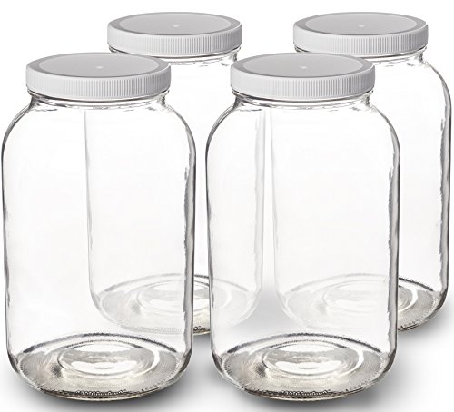 Glass Jar with Airtight Plastic Lid