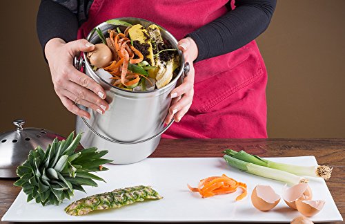 Composting Bin with Charcoal Filter for Kitchen Waste