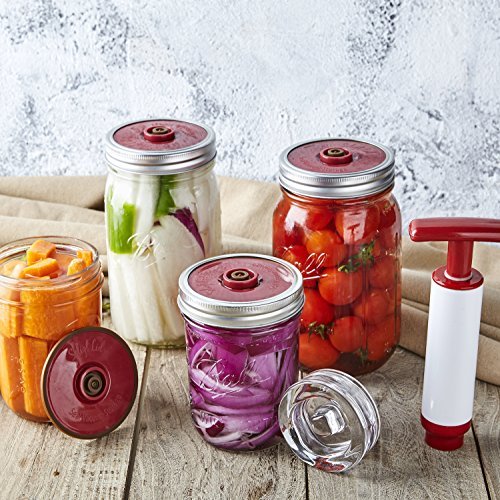 Fermentation Kit