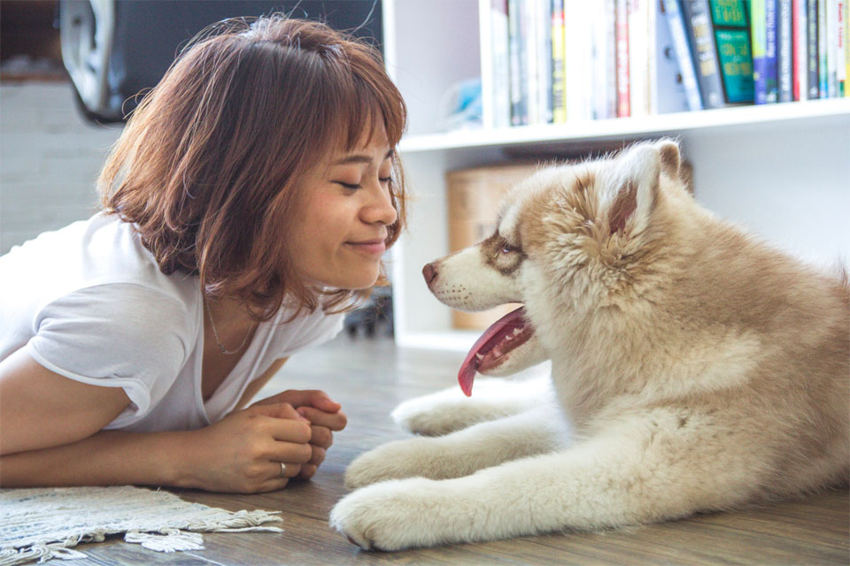 Pets Green Therapy