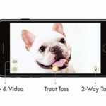 Furbo Dog Camera App View