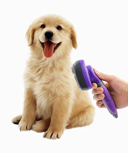 Dog Hair Brush