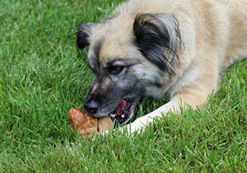 Natural Chew Root