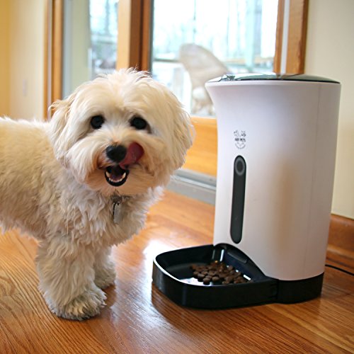 Arf Pets Automatic Pet Feeder Food Dispenser