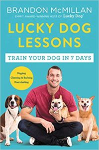 Lucky Dog Lessons Brandon