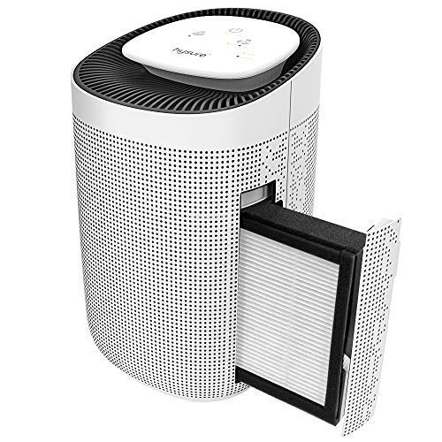 2-in-1 Dehumidifier Air Purifier