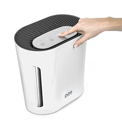 Personal Air Purifier